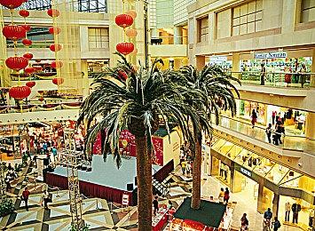 任天堂宣布Switch停止支持推特 6月10日起生效